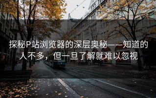 探秘P站浏览器的深层奥秘——知道的人不多，但一旦了解就难以忽视