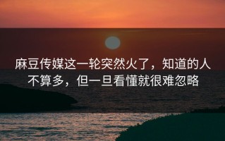 麻豆传媒这一轮突然火了，知道的人不算多，但一旦看懂就很难忽略