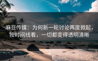 麻豆传媒：为何新一轮讨论再度掀起，按时间线看，一切都变得透明清晰