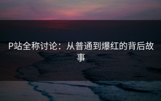 P站全称讨论：从普通到爆红的背后故事