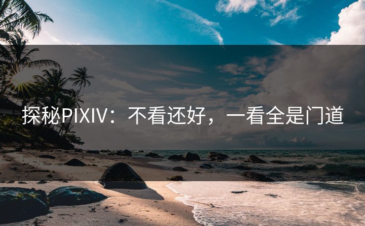 探秘PIXIV：不看还好，一看全是门道-第1张图片-p站短视频 - p站助手精选网