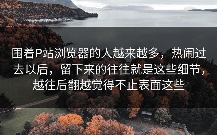 围着P站浏览器的人越来越多，热闹过去以后，留下来的往往就是这些细节，越往后翻越觉得不止表面这些-第1张图片-p站短视频 - p站助手精选网