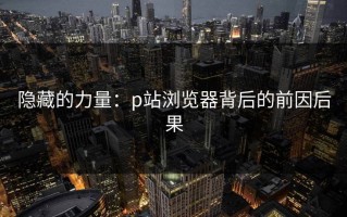 隐藏的力量：p站浏览器背后的前因后果