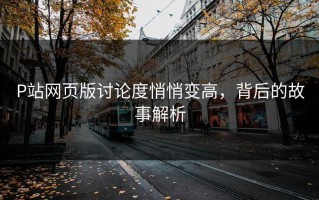 P站网页版讨论度悄悄变高，背后的故事解析
