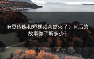 麻豆传媒和短视频突然火了，背后的故事你了解多少？