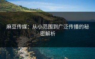 麻豆传媒：从小范围到广泛传播的秘密解析